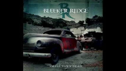 Bleeker Ridge - Im Sick Of You