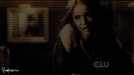 Stefan/ Katherine/ Damon - Paradise Circus