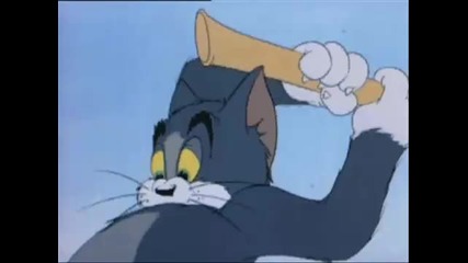 Tom & Jerry Cartoon