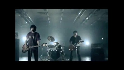 Shank - Cigar Store 