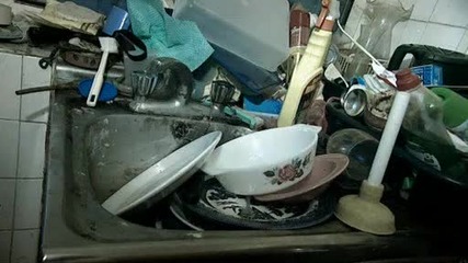 Занемарени домакинства (how Clean Is Your House Season 4 - episode 9)