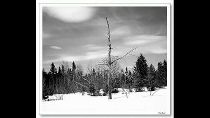 Agalloch - Dead winter days