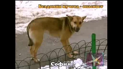 ! Бездомни Кучета - Опастност, Господари На Ефира, 13.02.2009