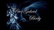 Peter Gabriel - Birdy - Dressing the Wound