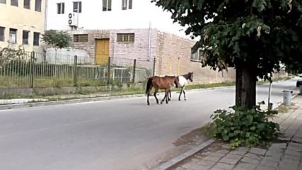 Белоградчик в разгара на туристическия сезон