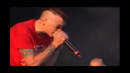 Linkin Park - Wish (live) (cover) 