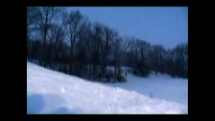 Back To The Board Trailer