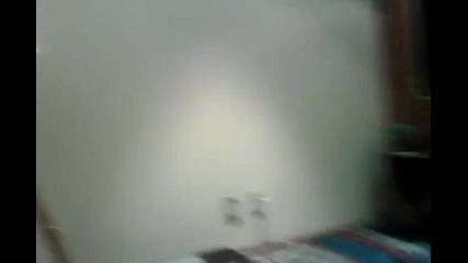 Dulce_mar_a_apresenta_aos_f_s_o_