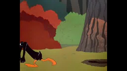 Daffy Duck - 59 - Rabbit Seasoning 
