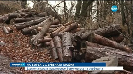 Забраняват износа на дървесина