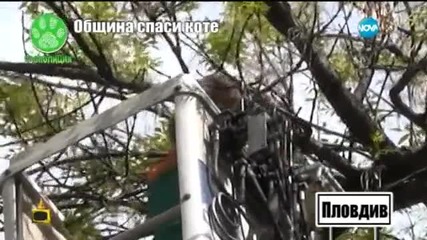 Господари на ефира отново помага за спасяването на живно в беда - Гоподари на ефира (29.07.2015)