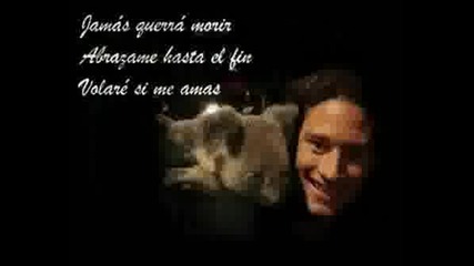 Si Tu Me Amas - Il Divo