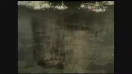 Народна Република България : Великите Времена на Нашата Мила Страна  - Първа Част