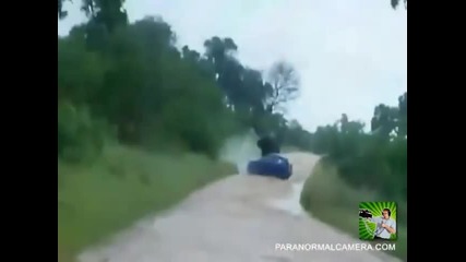 Слон обръща кола !!!