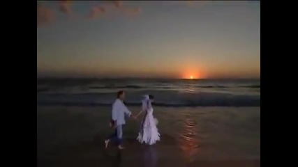 Nancy Ajram & Fady El Hashem - Wedding