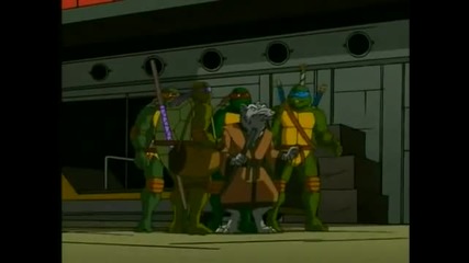 kostenurkite ninja epizod 21