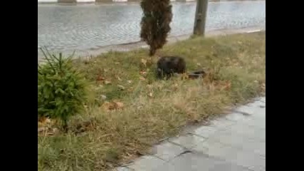 Видеоклип0013