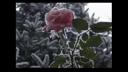 And I Love You So