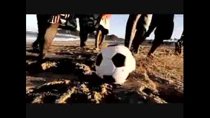 Песента от световното 2010