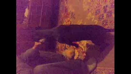 09122008004.mp4
