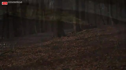Звяр... Ford Mustang Shelby Gt500 test 