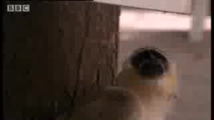 Май прекалиха с Питиетата! :d 