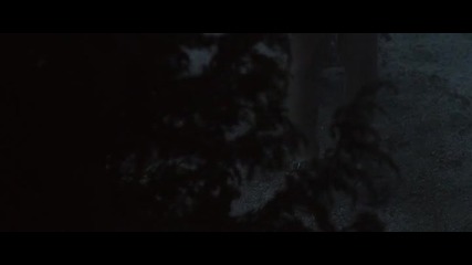 Ехо от мъртвите (2013)