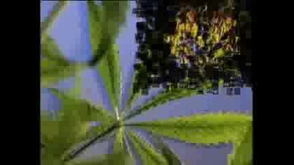 Joint - Snimki
