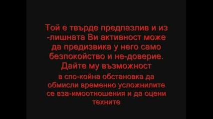 Искаш Да Се Сдобрите?