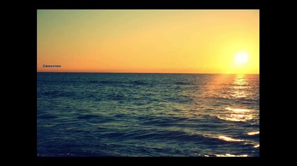 ..• Sunshine™ ...•...