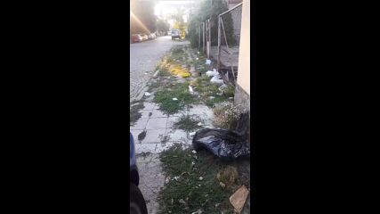 "Моята новина": Боклуци