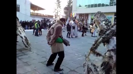 23.01.2010г. Кукери Община Брензик 