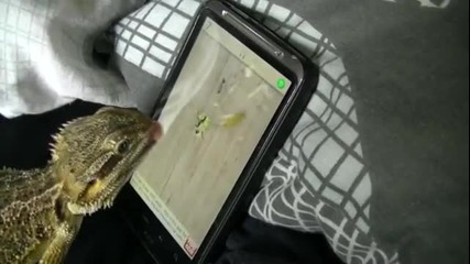 Гущер играе игра на Htc Sensation