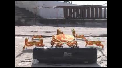 Горе Ръцете 