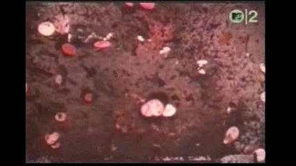 Pink Floyd 1973 - Brain Damage Eclipse 