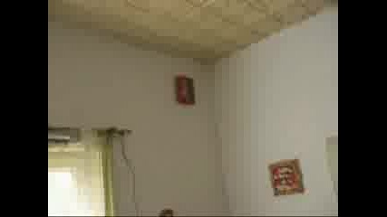 Дългочаканото Dvd На Manowar
