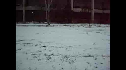 S5003163.avi