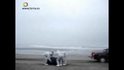 Нло - Каква голяма Мида само !!!