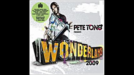 Pete Tong pres Wonderland 2009 cd2