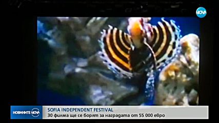 SOFIA INDEPENDENT FESTIVAL: 30 филма се борят за наградата от 55 000 евро