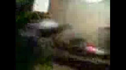 Box 2