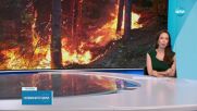 Военни хеликоптери и техника гасят пожари в няколко области на страната