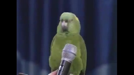Пеещ папагал