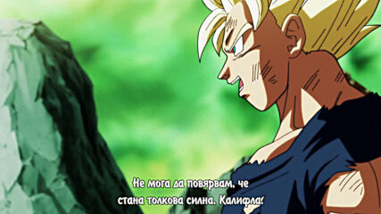 Dragon Ball Super - 113 [ Bg Sub ]