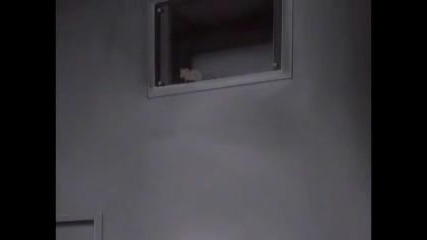 Wolfs Rain Episode 2 part 3/3