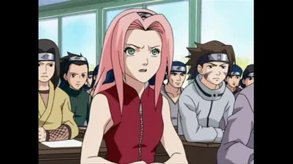 Sakura - Amaranth