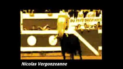 Freerun & Parkour