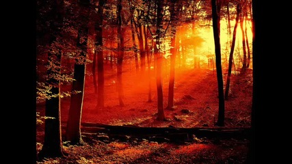 Wolfgang Amadeus Mozart - Piano concerto No.4