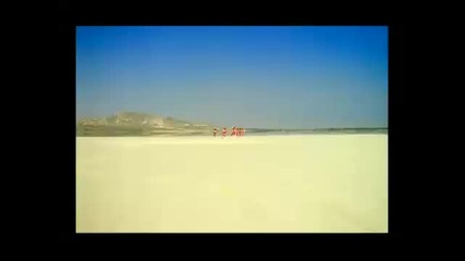 Bob Sinclar presents Fireball - What I want