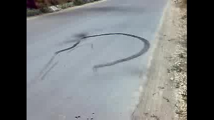 Palej ot ni6to
